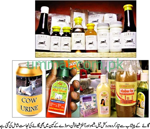 Cow Waste Products-713341